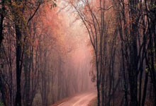 奥地利队:顽强拼搏,致敬每一份奋斗