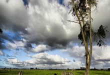 枪响惊世,荣耀加冕!英国射击军团,三度铸就金牌传奇!