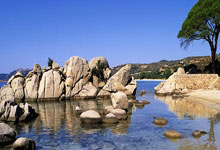 德国逼平罗马尼亚，小组第一易主？战火重燃，德意志战车能否稳坐钓鱼台！