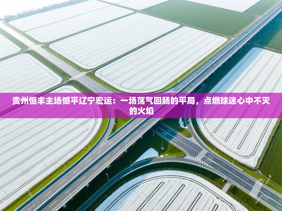 贵州恒丰主场憾平辽宁宏运：一场荡气回肠的平局，点燃球迷心中不灭的火焰  第2张