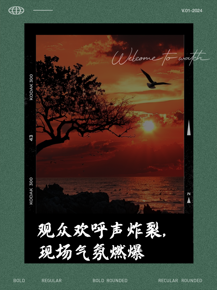 爱游戏亚洲官网-精彩瞬间，现场观众沸腾欢呼