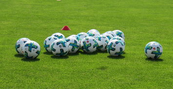 爱游戏入口-斯图加特遭遇惨败，陷入德甲降级区，斯图加特图片