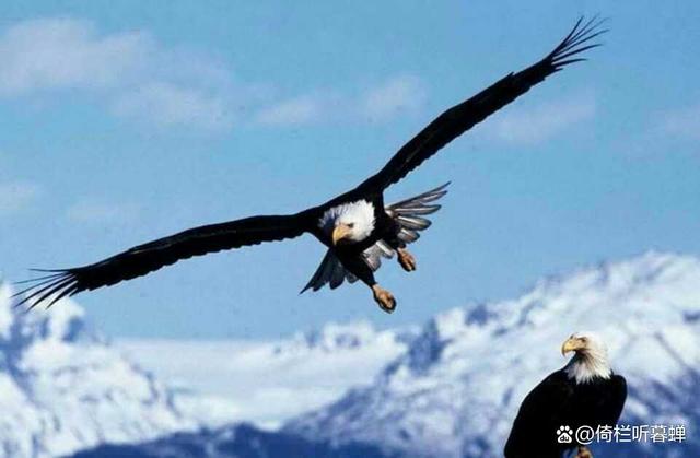 瑞士代表团壮气凌云，完美诠释团结力量